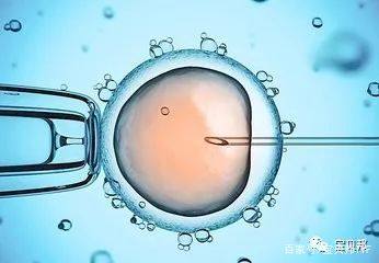 人工同志借卵代怀服务怎么找